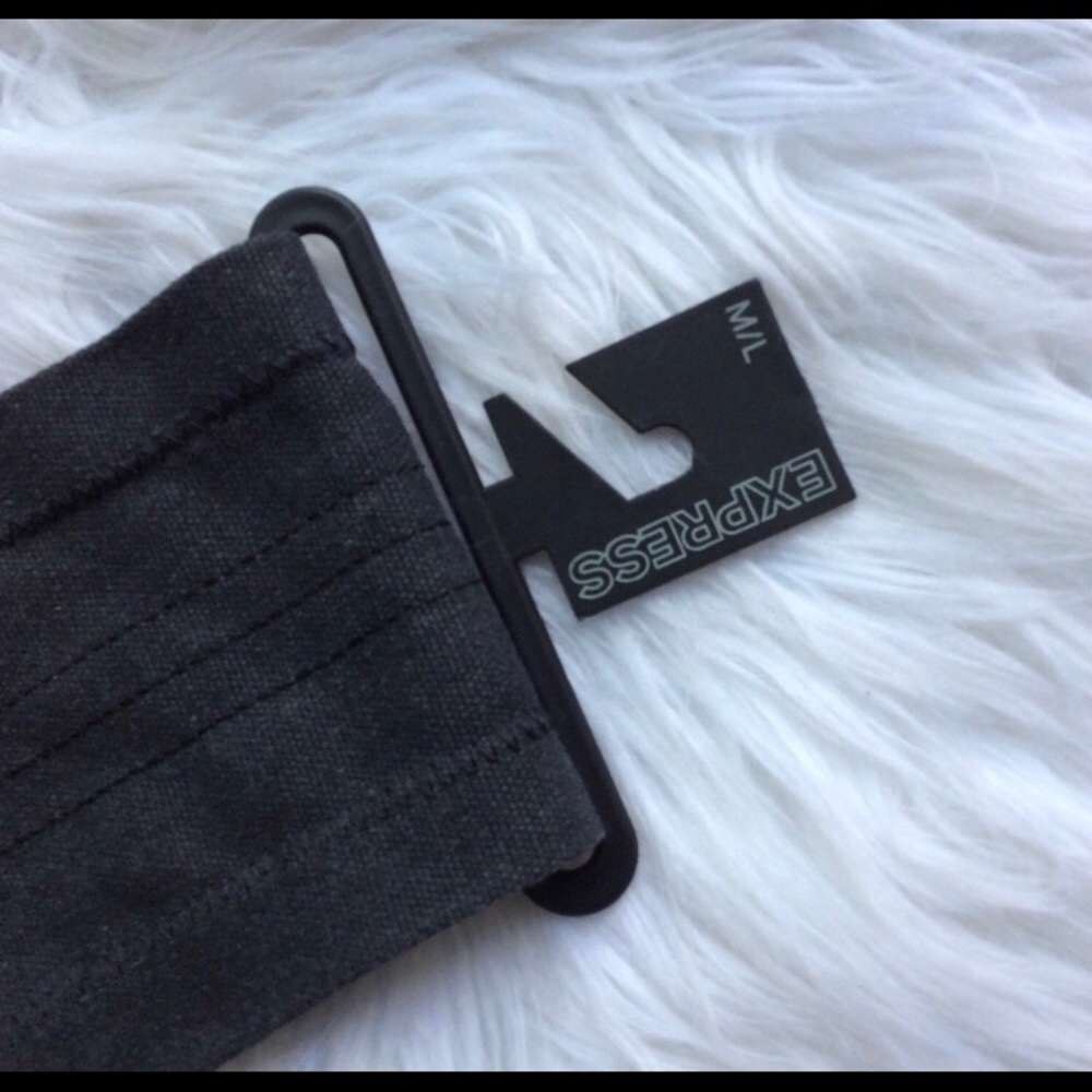 BNWT EXPRESS Canvas Corset Belt - Picture 6 of 6